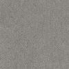 8195_2_additional image_new.jpg image